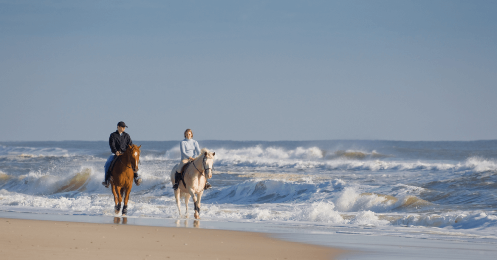 Camel and Horseback Riding Along Essaouira’s Beaches Essaouira Outdoor Activities