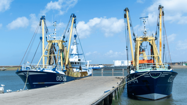 Essaouira fishing port with blue boats and lively fish markets, part of Essaouira best attractions