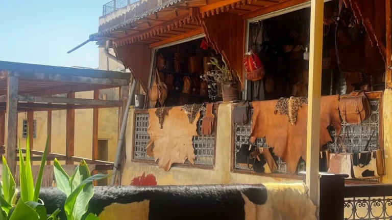 fes activities guide